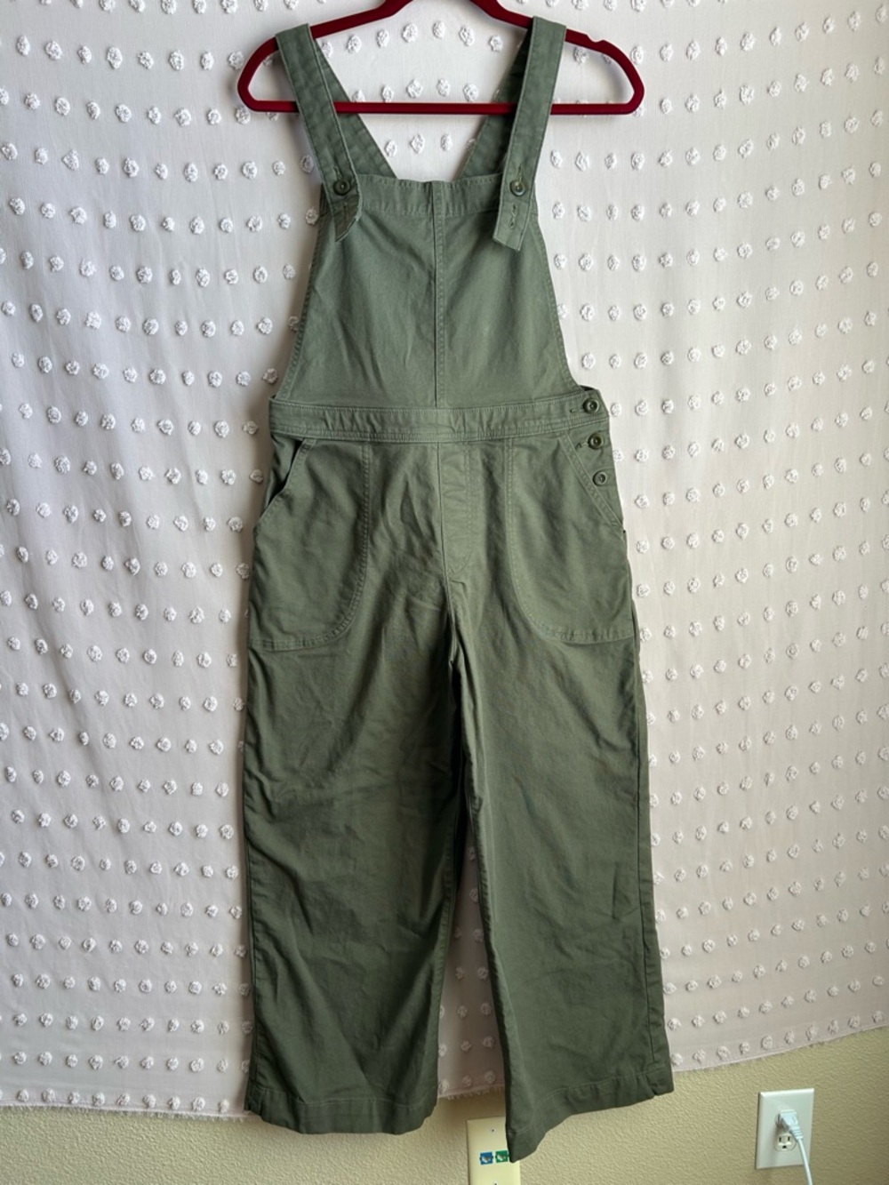 Patagonia Women’s Stand Up Cropped Wide Leg Overalls Cotton‎ Blend Sz 6 Green
